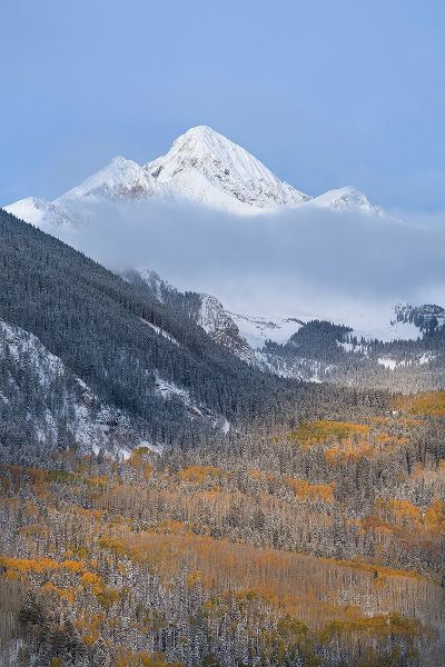 Jaynes Gallery 아티스트의 USA-Colorado-Uncompahgre National Forest Autumn sunrise on Wilson Peak and snowy forest in valley작품입니다.